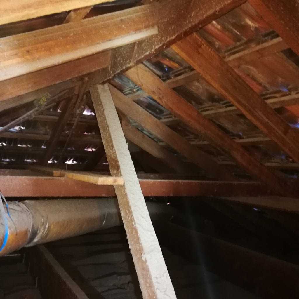 ROOF SPACE INSPECTION IS CRITICAL 